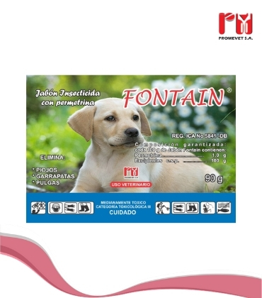 FONTAIN