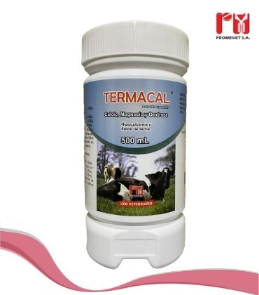 TERMACAL